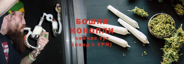 PSILOCYBIN Волосово