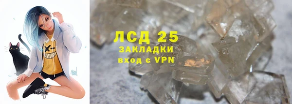 PSILOCYBIN Волосово
