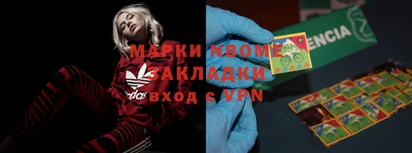 PSILOCYBIN Волосово