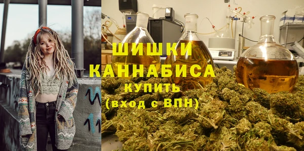PSILOCYBIN Волосово